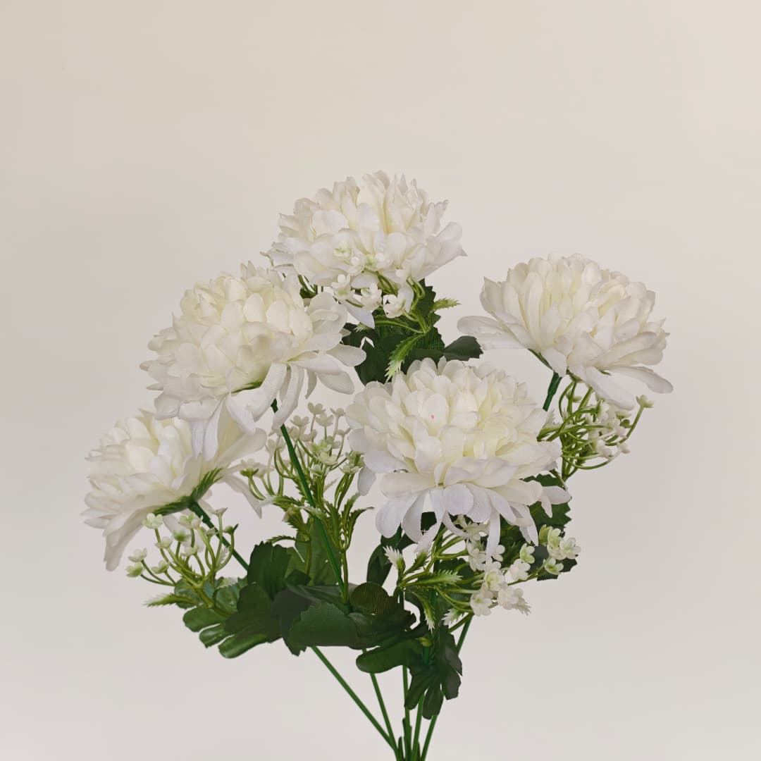 Mum Bush | Short Flowers