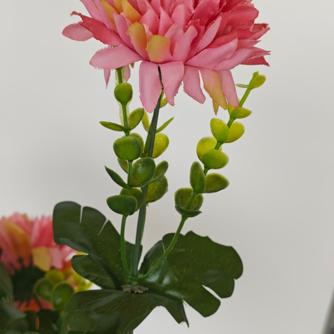 Mum Bush | Short Flowers