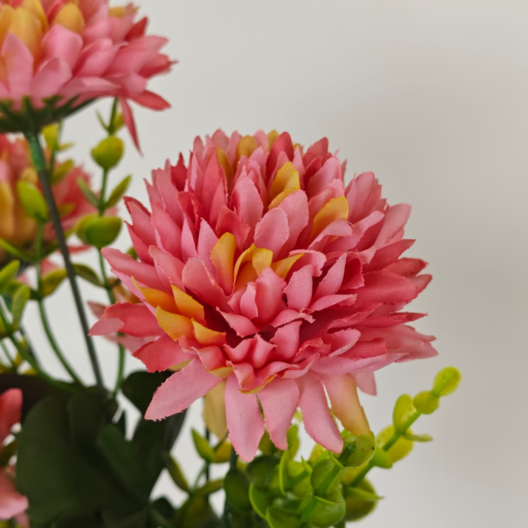 Mum Bush | Short Flowers