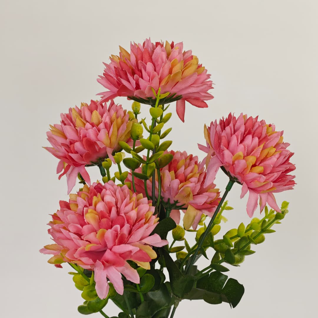 Mum Bush | Short Flowers