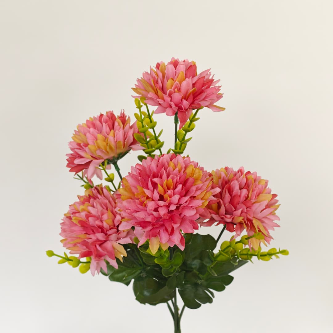 Mum Bush | Short Flowers