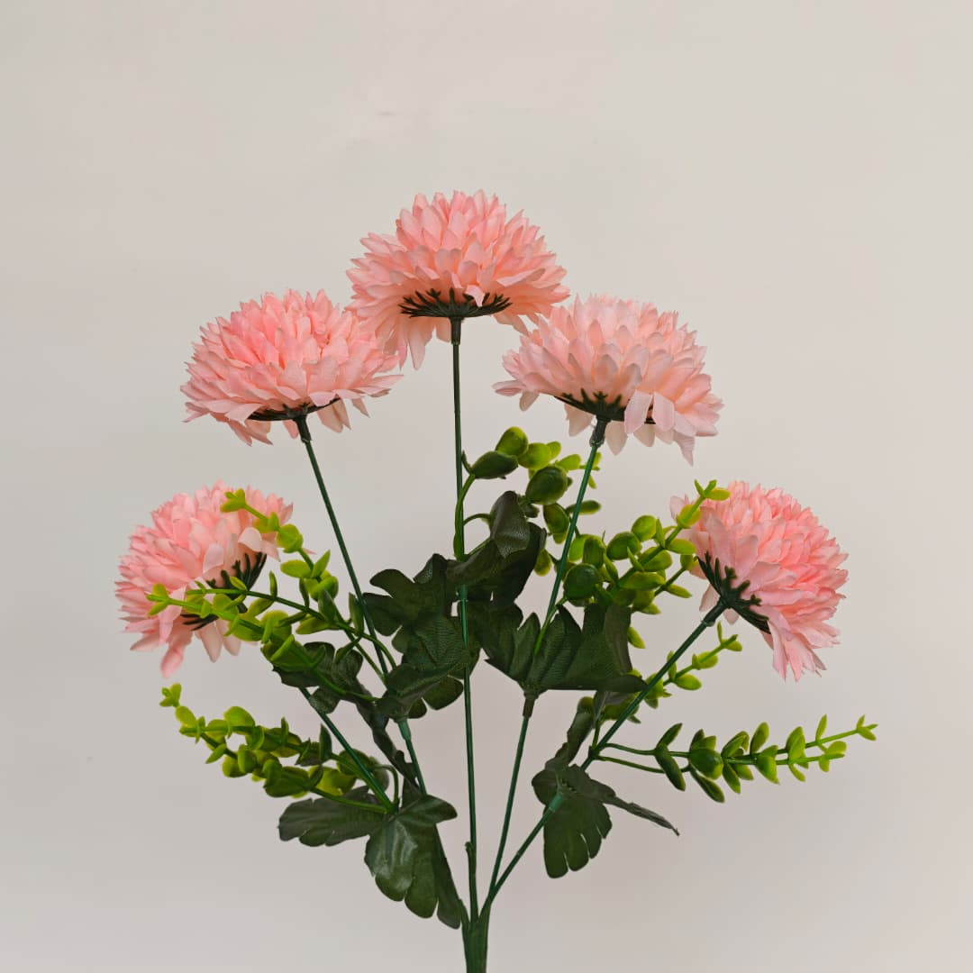 Mum Bush | Short Flowers