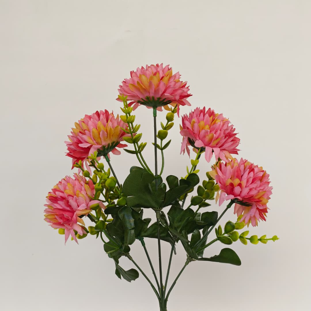 Mum Bush | Short Flowers