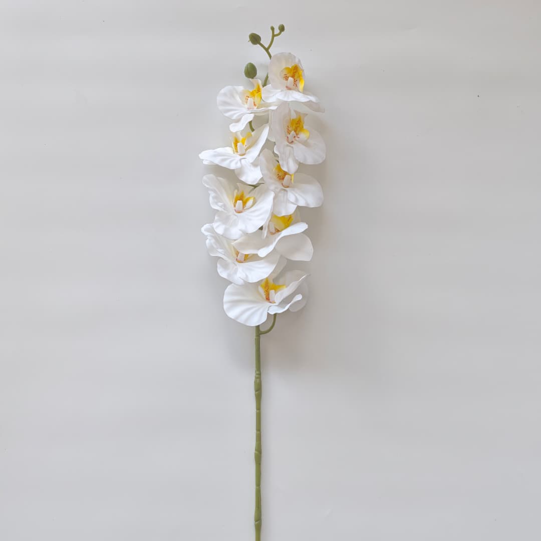 French Orchid x 9 (88cm) 法式蝴姬花 | Flowers & Greenery