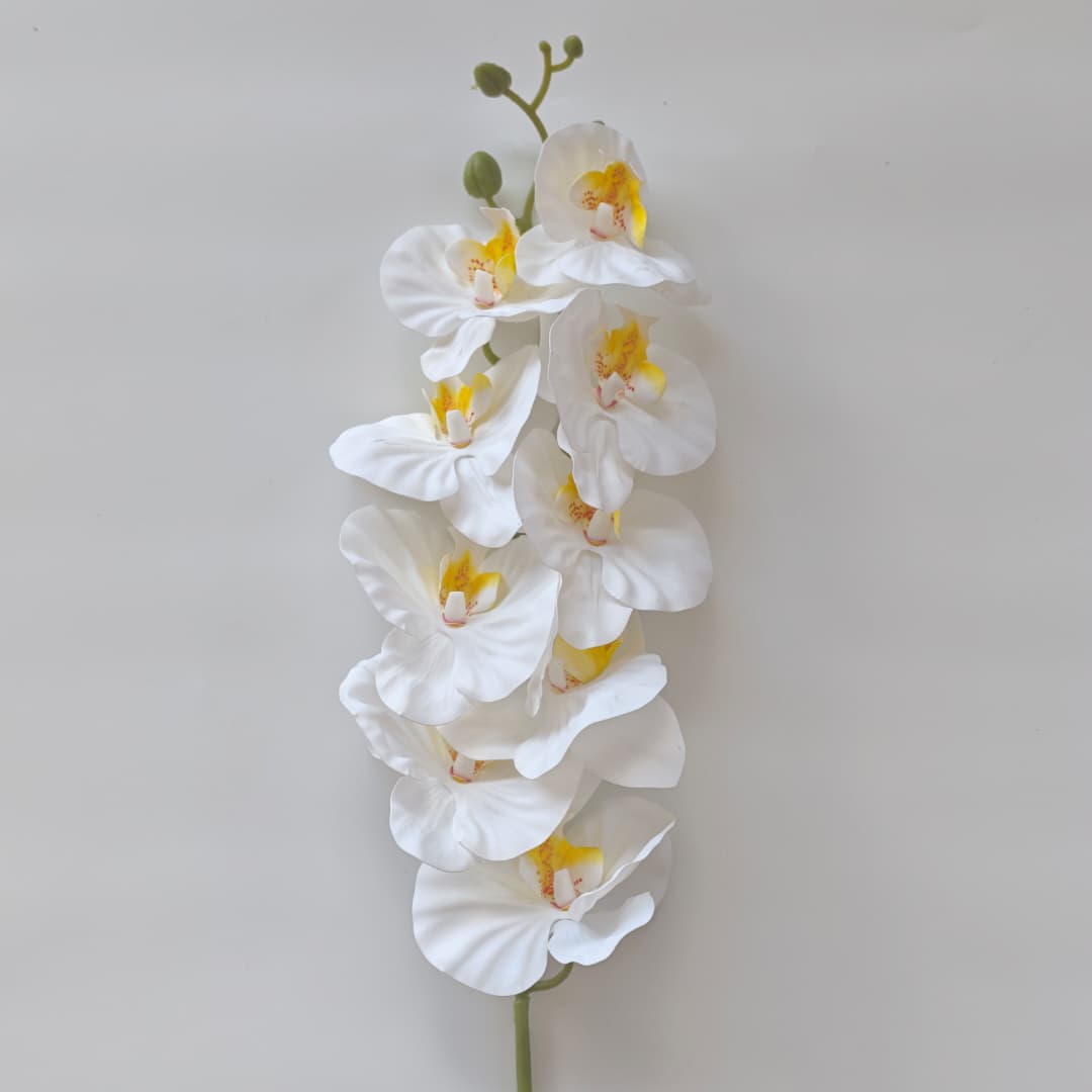 French Orchid x 9 (88cm) 法式蝴姬花 | Tall Flowers