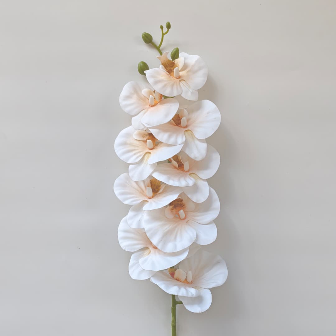 French Orchid x 9 (88cm) 法式蝴姬花 | Tall Flowers