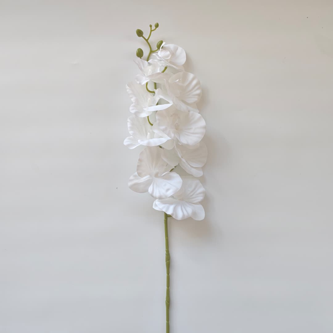 French Orchid x 9 (88cm) 法式蝴姬花 | Tall Flowers