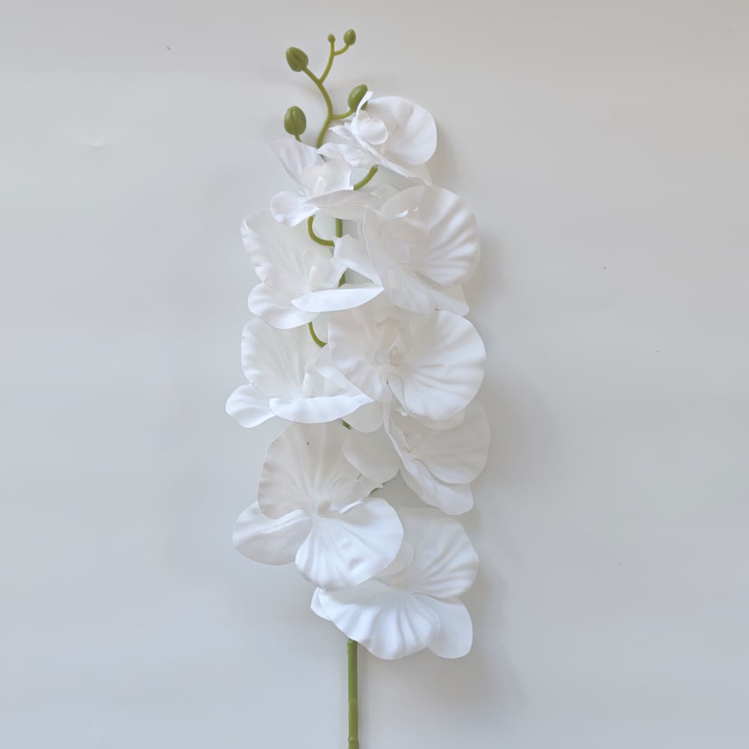 French Orchid x 9 (88cm) 法式蝴姬花 | Tall Flowers