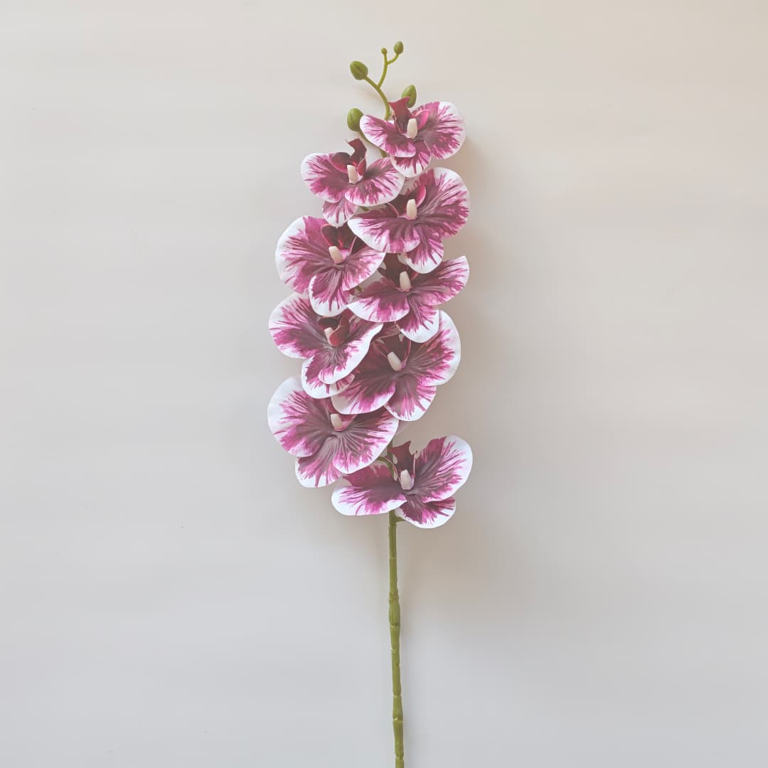 French Orchid x 9 (88cm) 法式蝴姬花 | Tall Flowers