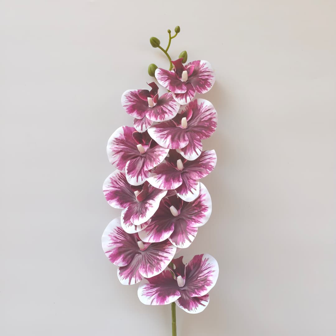 French Orchid x 9 (88cm) 法式蝴姬花 | Tall Flowers