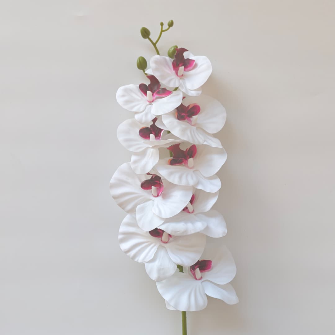 French Orchid x 9 (88cm) 法式蝴姬花 | Tall Flowers