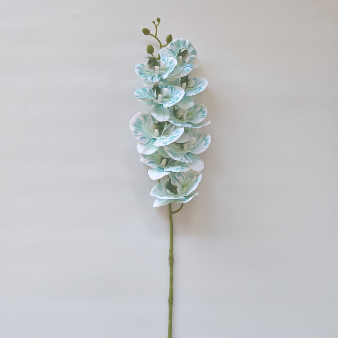 French Orchid x 9 (88cm) 法式蝴姬花 | Tall Flowers