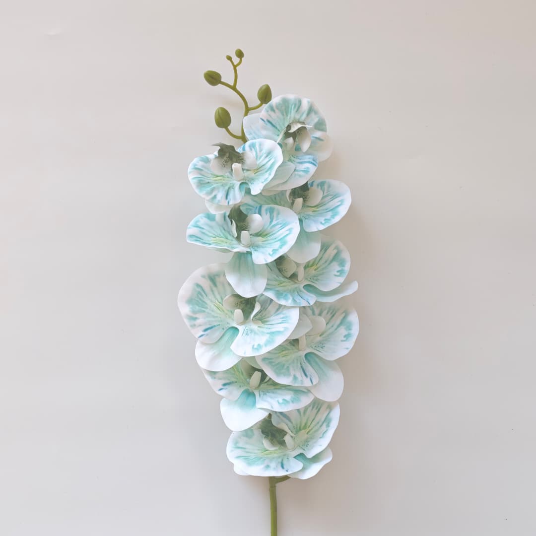 French Orchid x 9 (88cm) 法式蝴姬花 | Tall Flowers