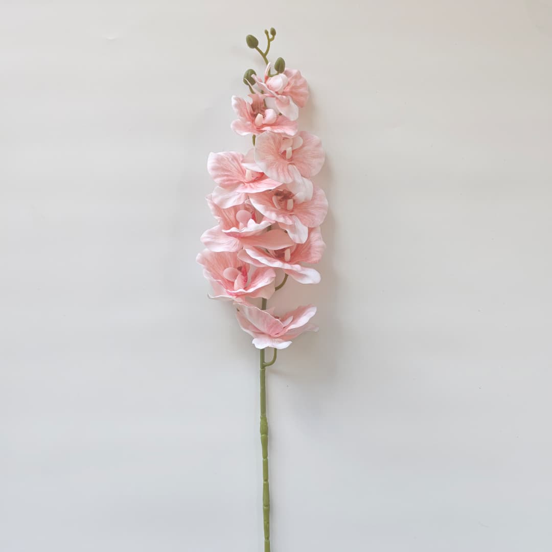 French Orchid x 9 (88cm) 法式蝴姬花 | Tall Flowers