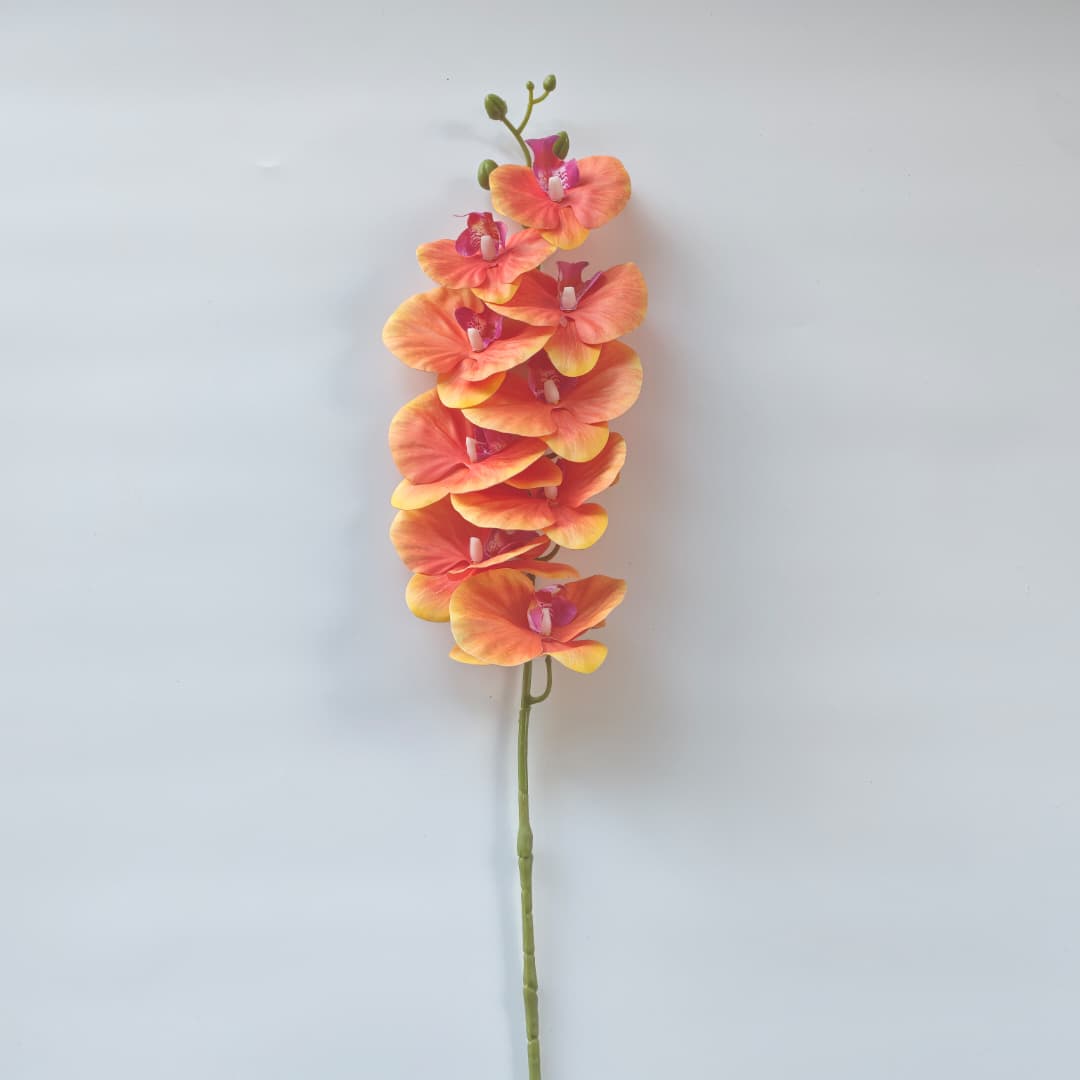 French Orchid x 9 (88cm) 法式蝴姬花 | Tall Flowers