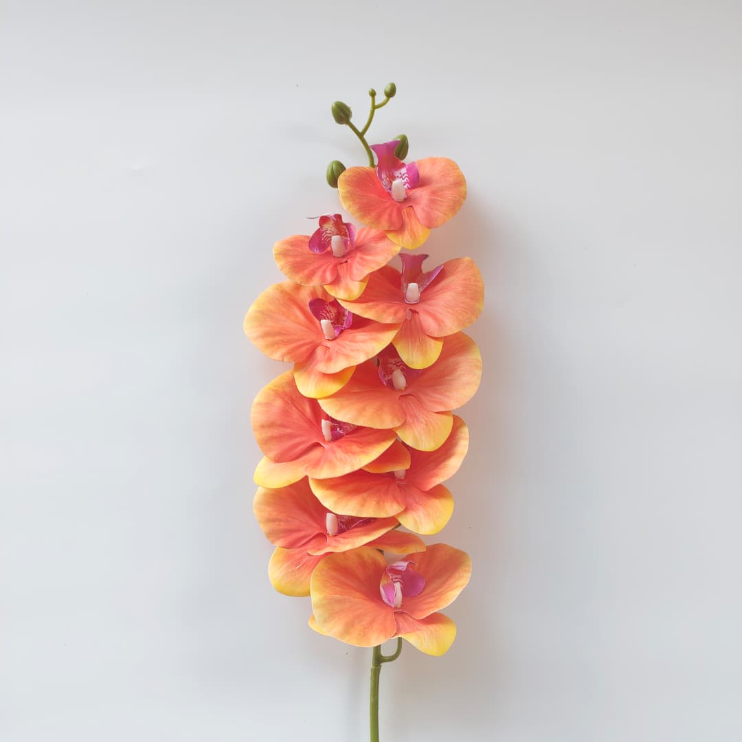 French Orchid x 9 (88cm) 法式蝴姬花 | Tall Flowers