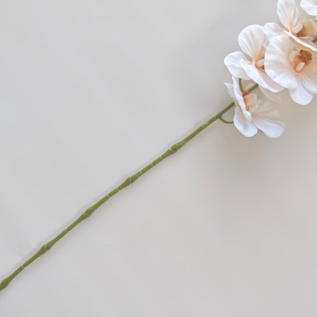 French Orchid x 9 (88cm) 法式蝴姬花 | Tall Flowers