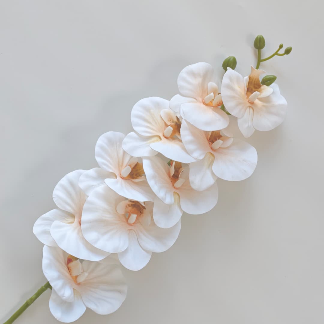 French Orchid x 9 (88cm) 法式蝴姬花 | Tall Flowers