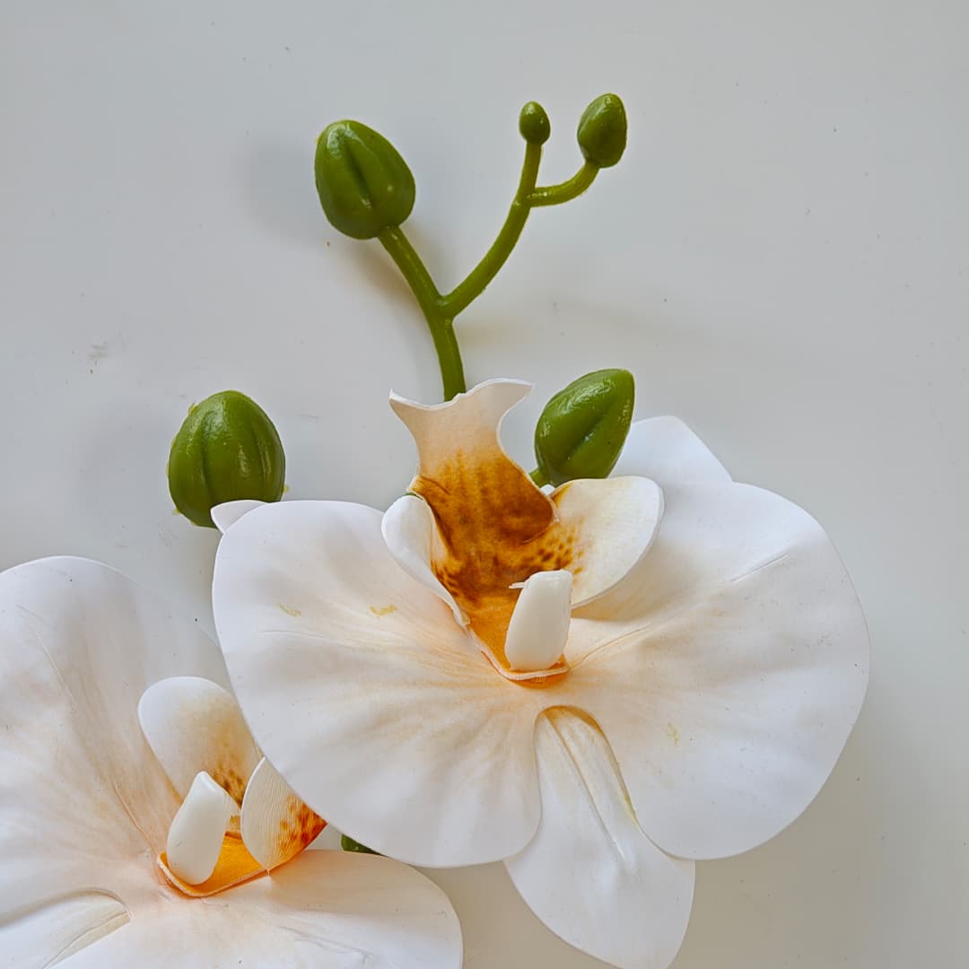 French Orchid x 9 (88cm) 法式蝴姬花 | Tall Flowers