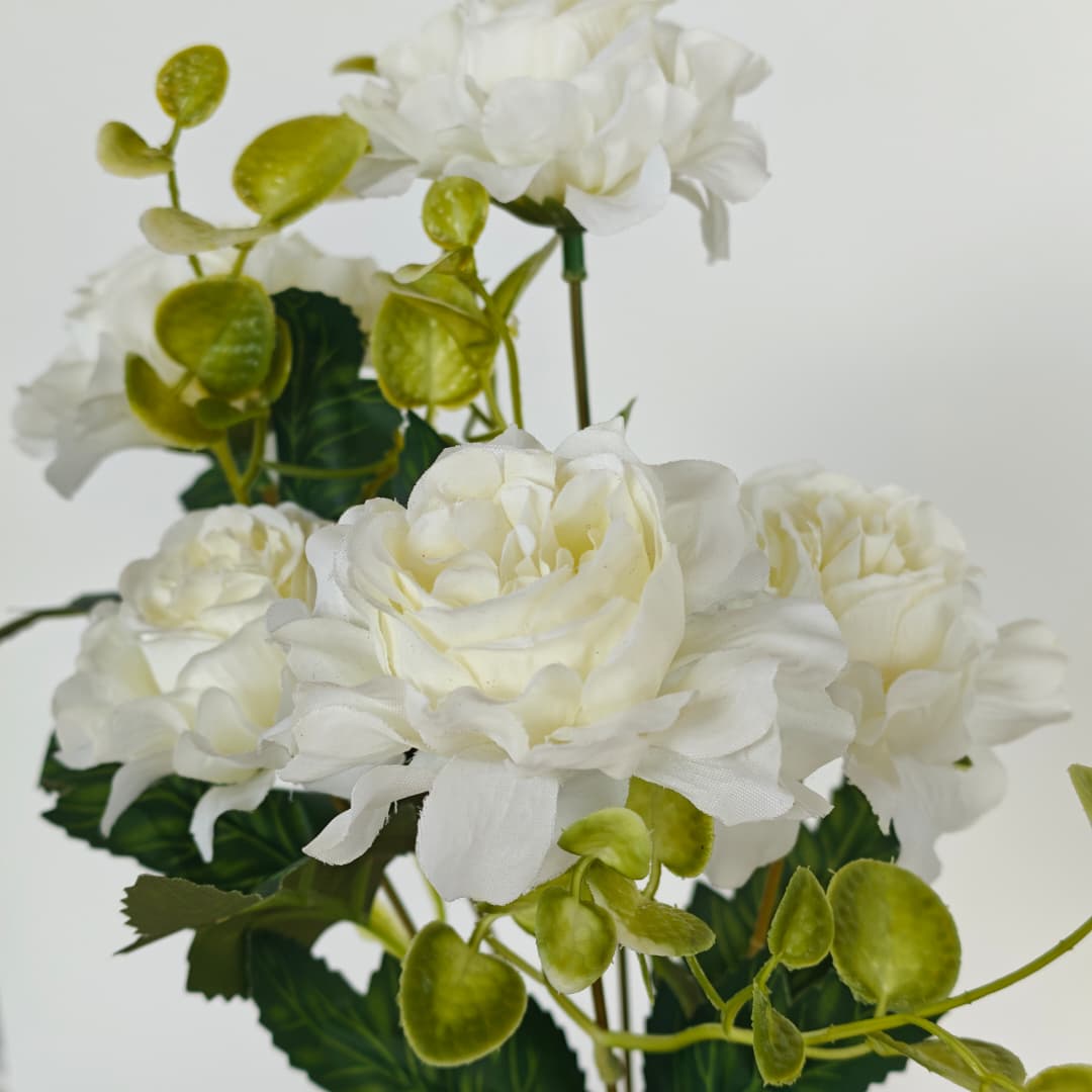 Peony Flower x 5 | Short Flowers