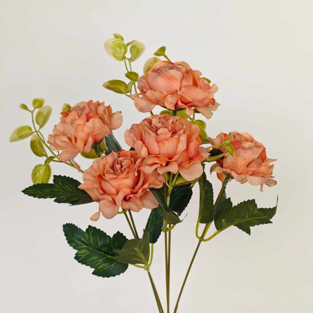 Peony Flower x 5 | Short Flowers