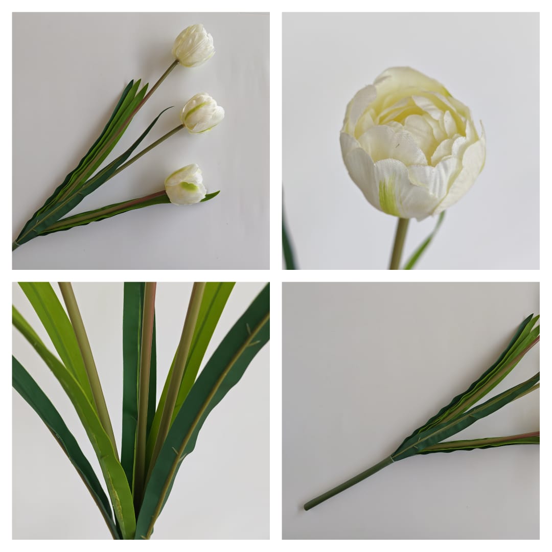 3 Heads Tulip | Short Flowers