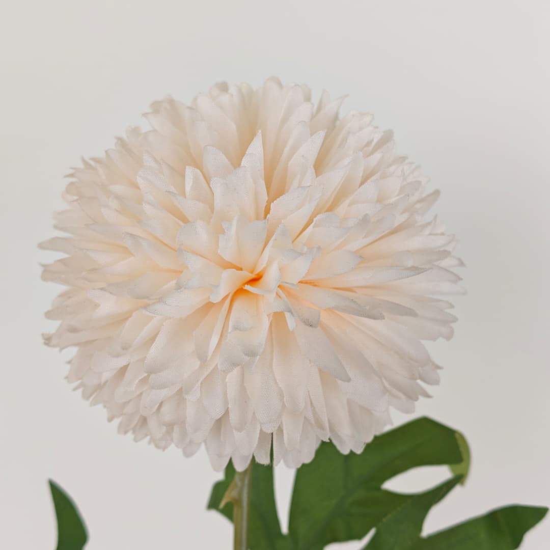 Single Head Chrysanthemum 10cm (L54cm) | Short Flowers