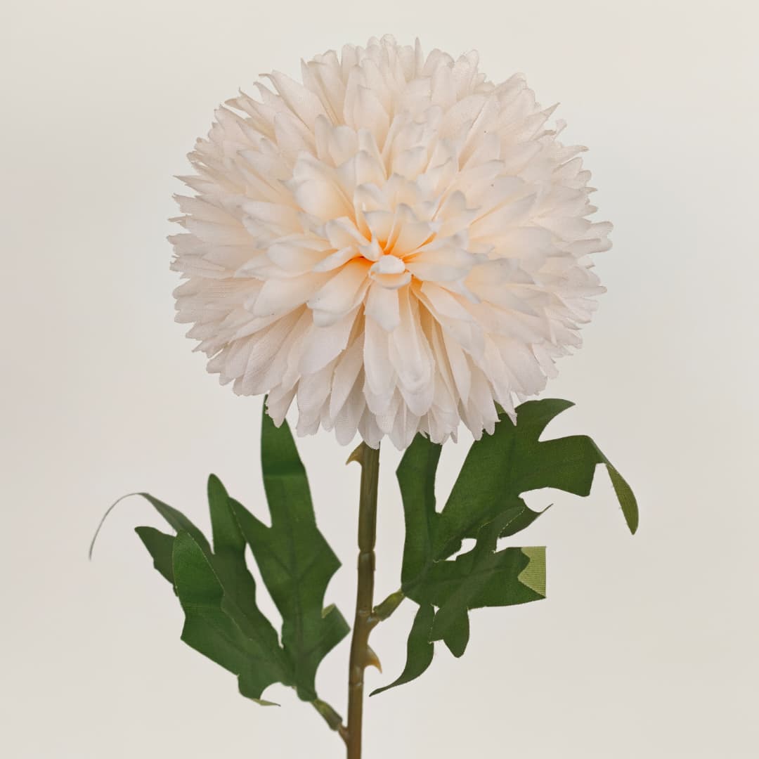 Single Head Chrysanthemum 10cm (L54cm) | Short Flowers