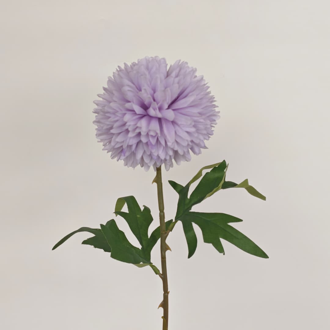 Single Head Chrysanthemum 10cm (L54cm) | Short Flowers