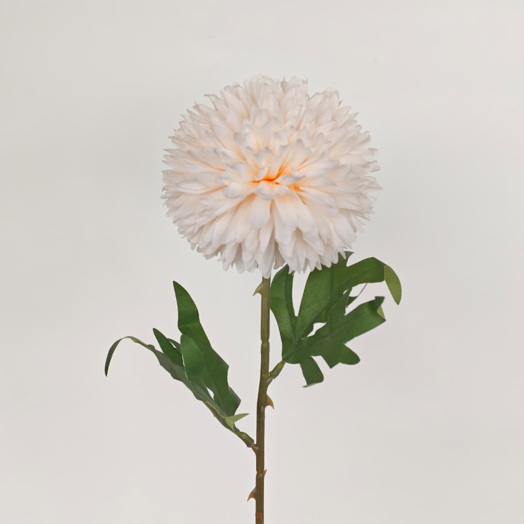 Single Head Chrysanthemum 10cm (L54cm) | Short Flowers