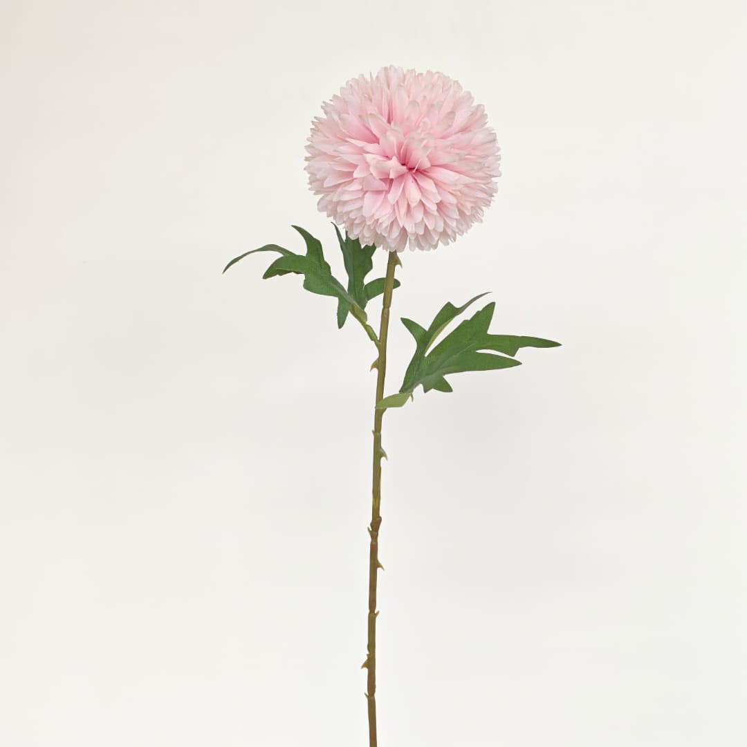 Single Head Chrysanthemum 10cm (L54cm) | Short Flowers