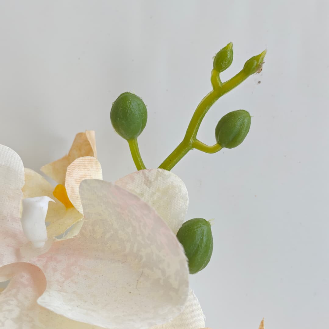 Orchid x 5 (56cm) | Short Flowers