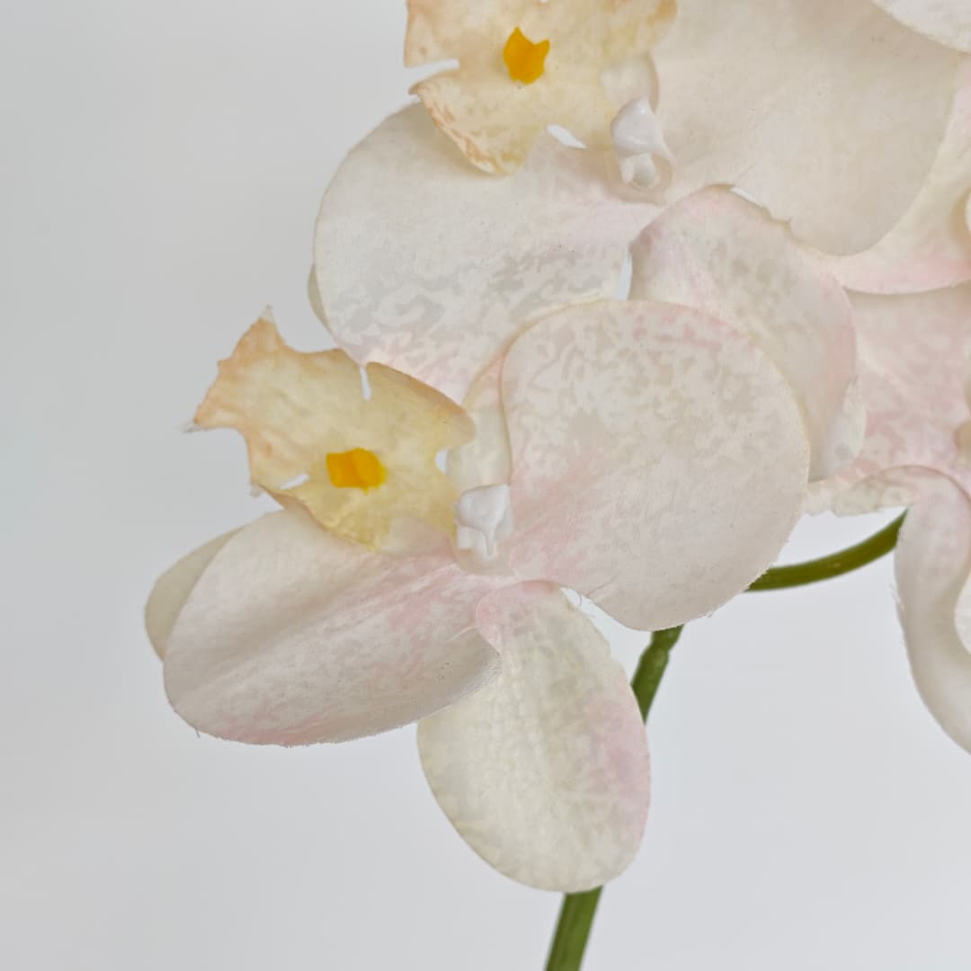 Orchid x 5 (56cm) | Short Flowers