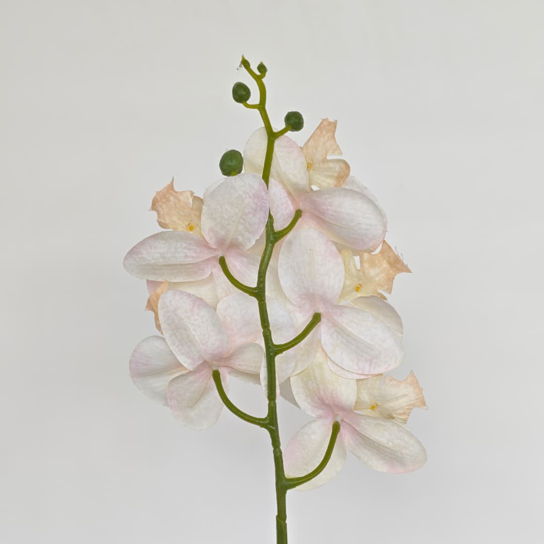 Orchid x 5 (56cm) | Short Flowers