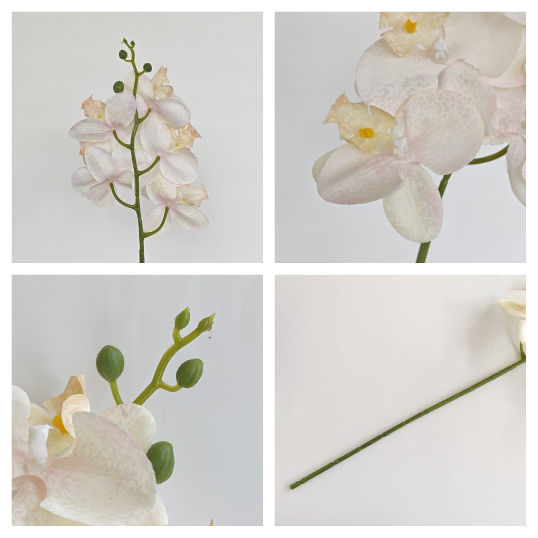 Orchid x 5 (56cm) | Short Flowers