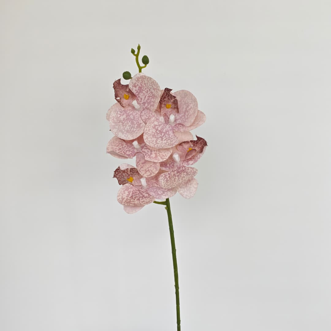 Orchid x 5 (56cm) | Short Flowers