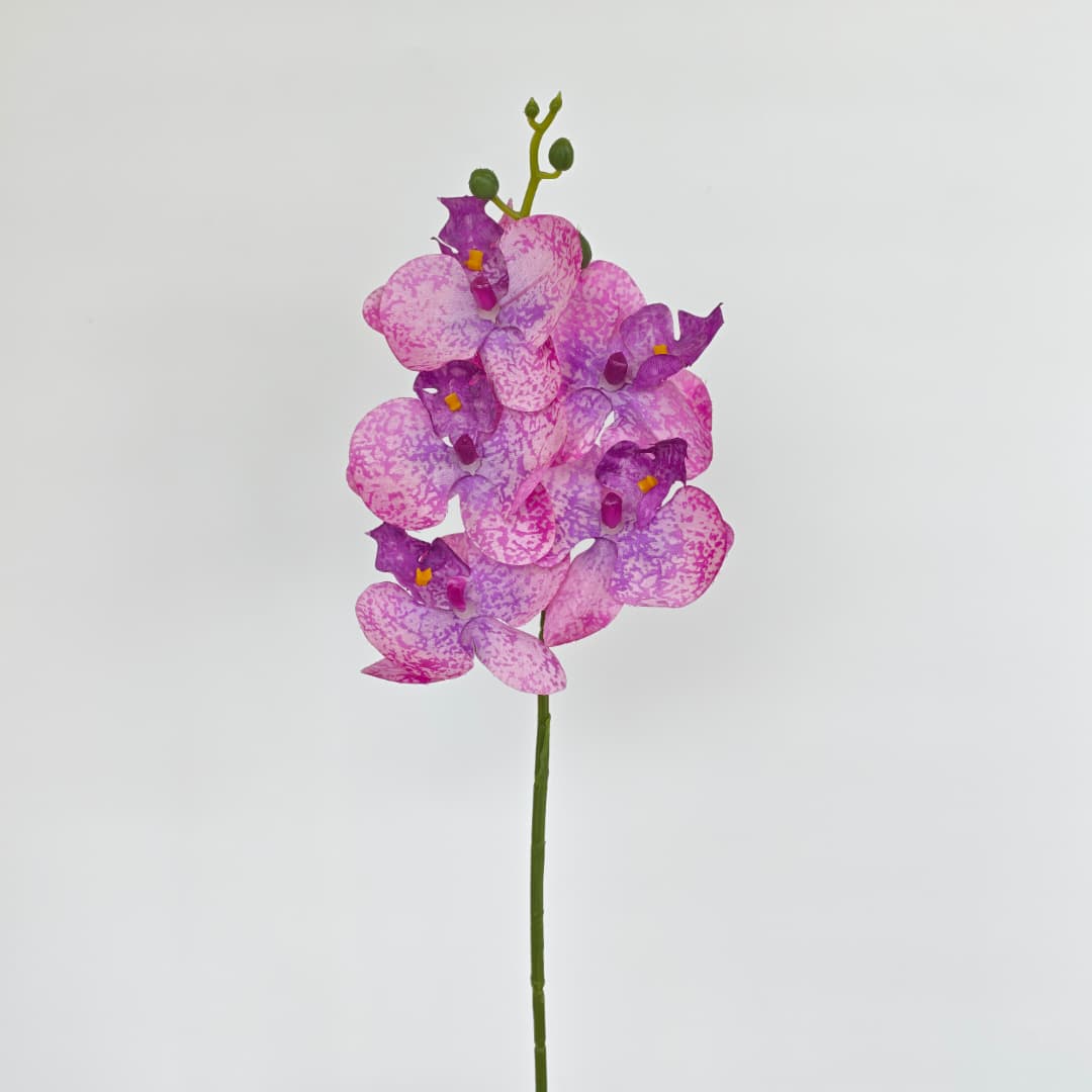 Orchid x 5 (56cm) | Short Flowers