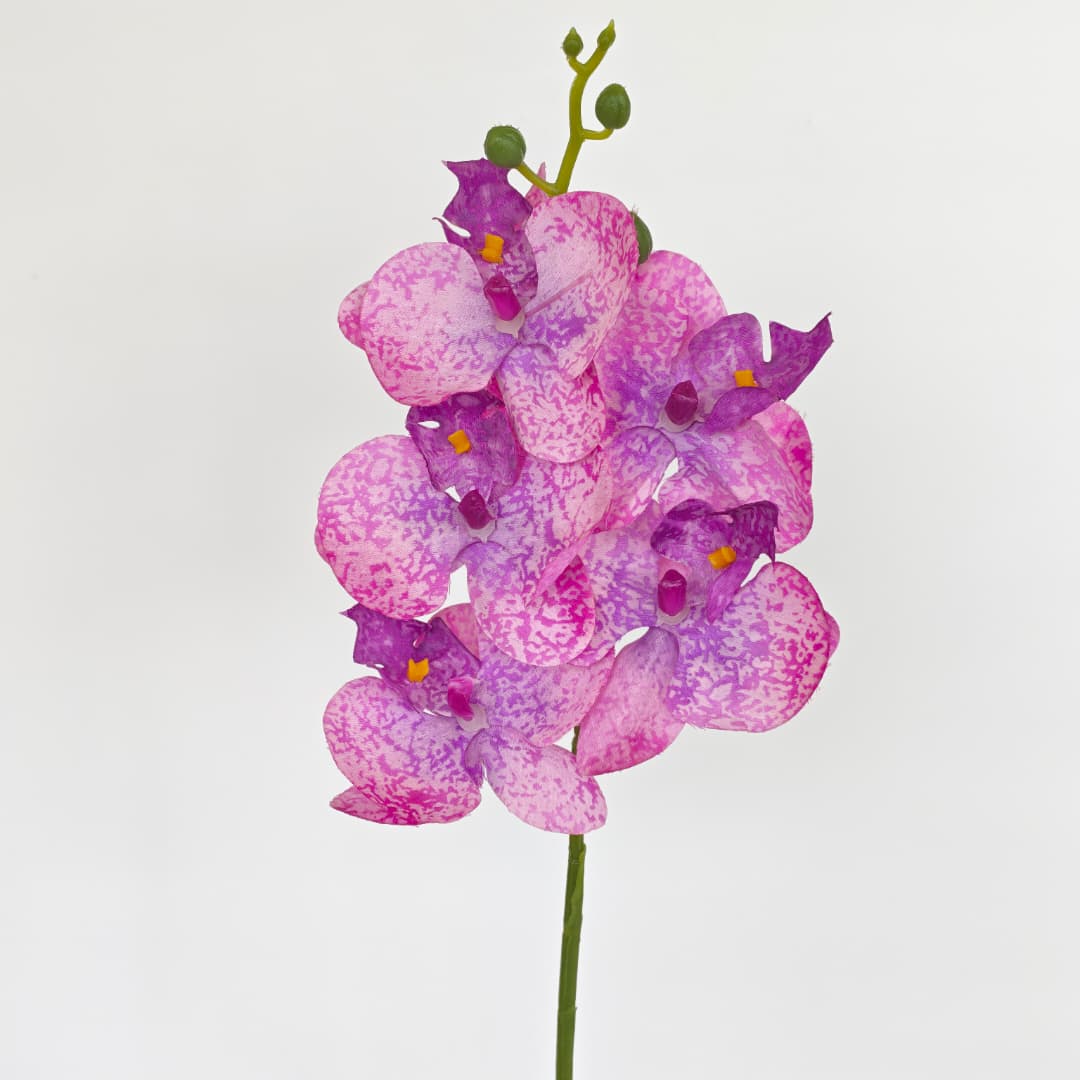 Orchid x 5 (56cm) | Short Flowers
