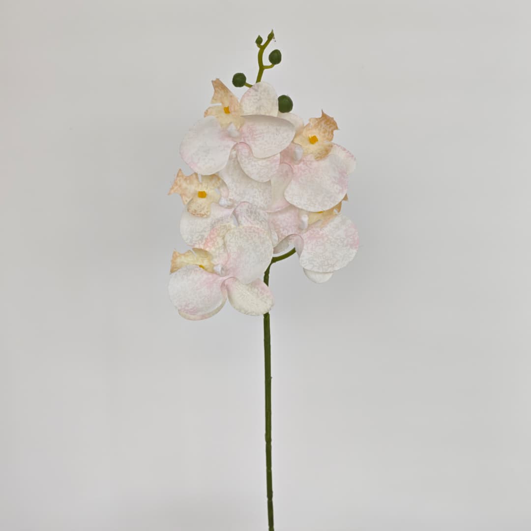 Orchid x 5 (56cm) | Short Flowers
