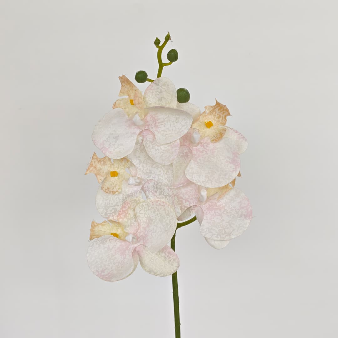 Orchid x 5 (56cm) | Short Flowers