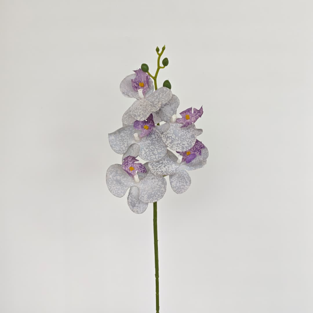 Orchid x 5 (56cm) | Short Flowers