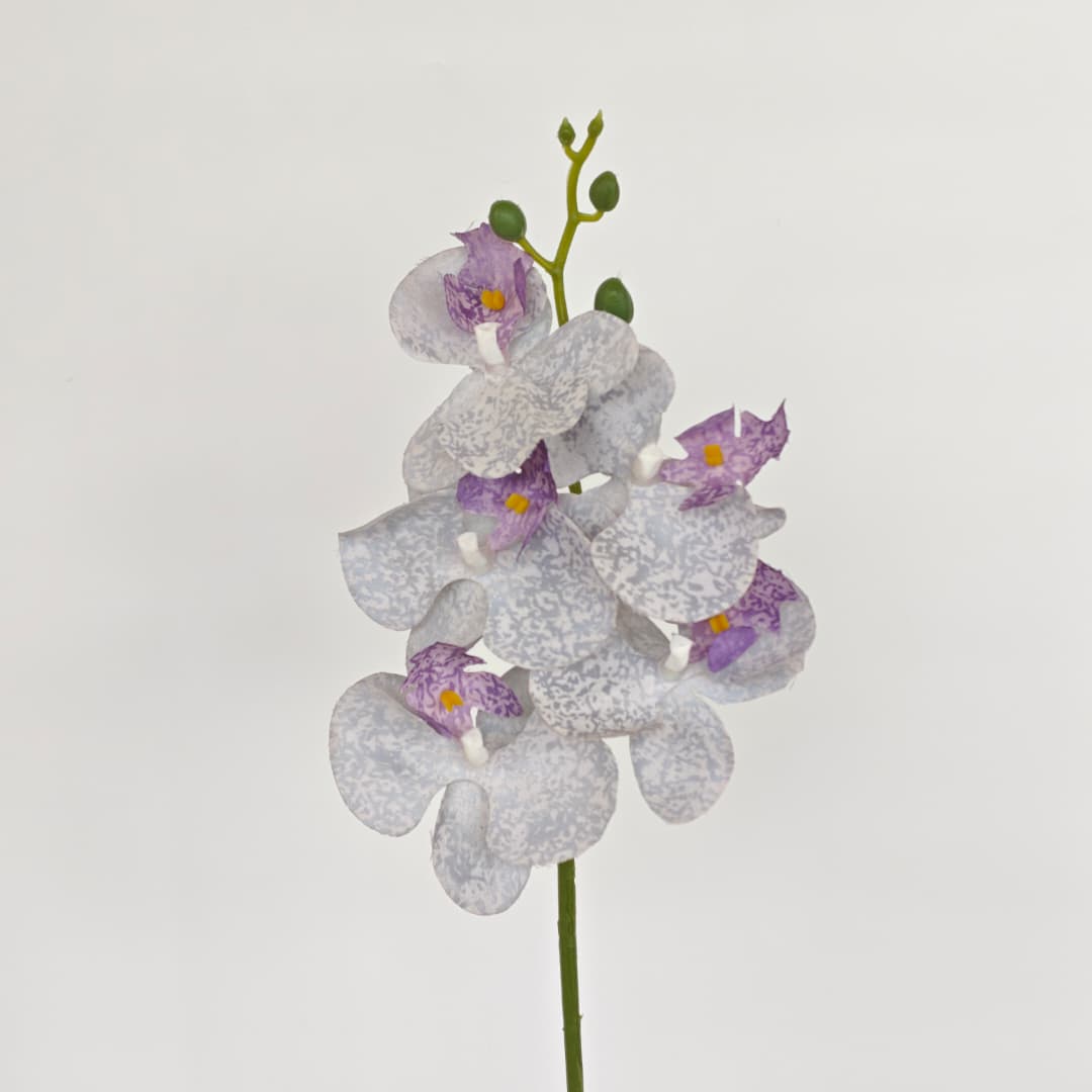 Orchid x 5 (56cm) | Short Flowers