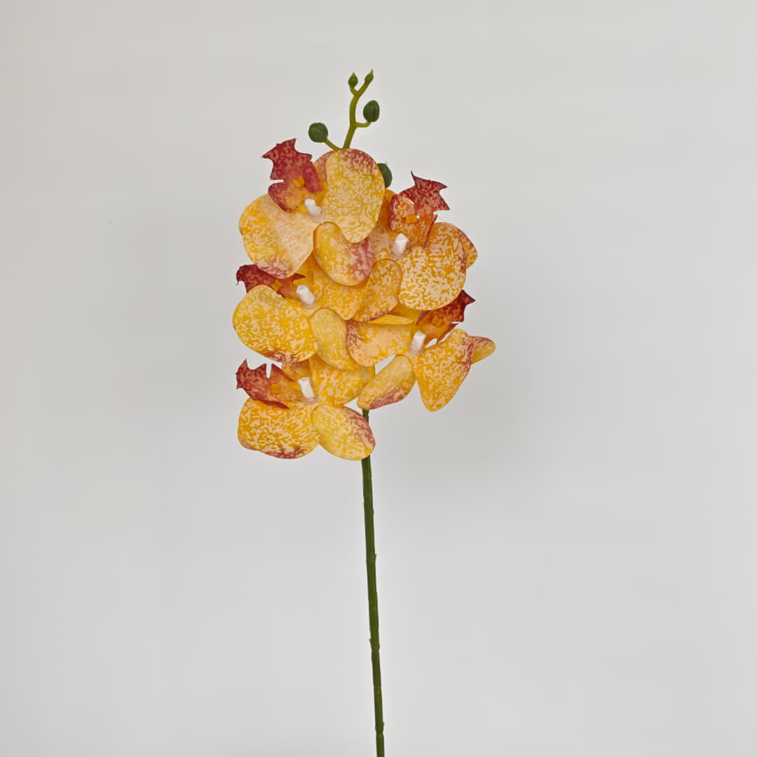 Orchid x 5 (56cm) | Short Flowers