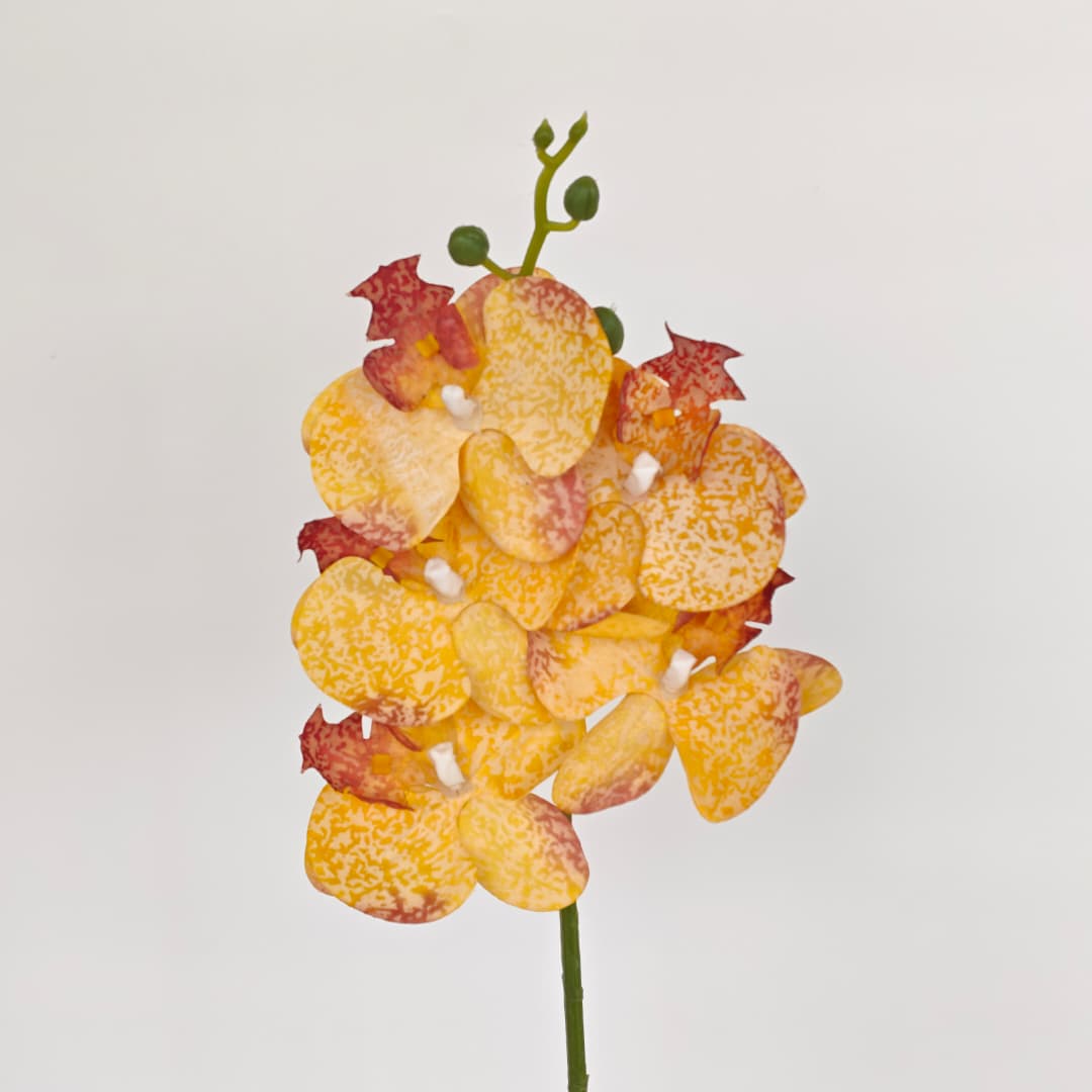 Orchid x 5 (56cm) | Short Flowers