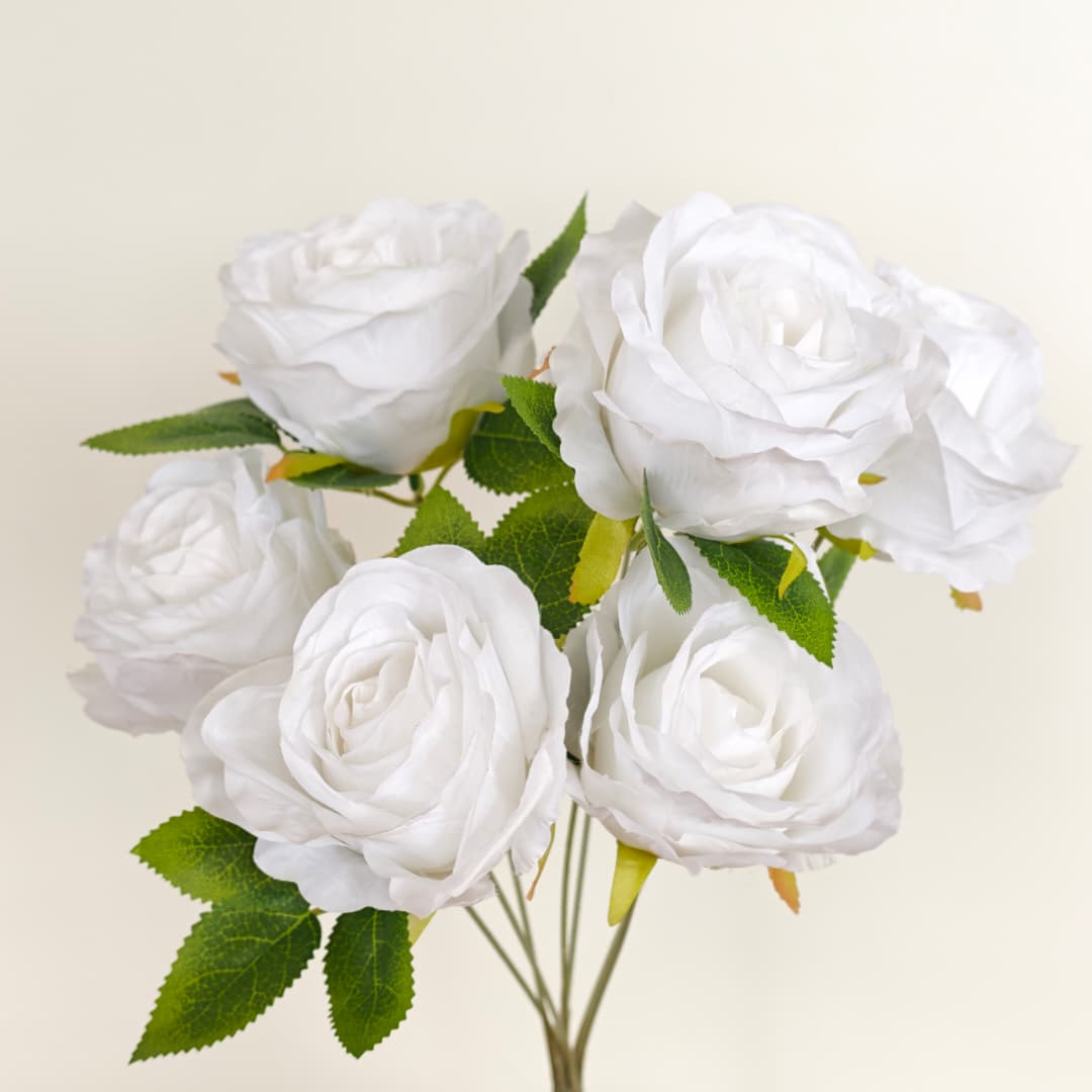 Rose Anna x 7 | Short Flowers