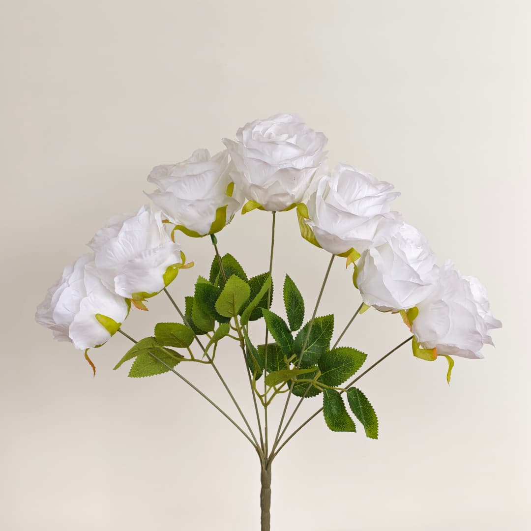 Rose Anna x 7 | Short Flowers