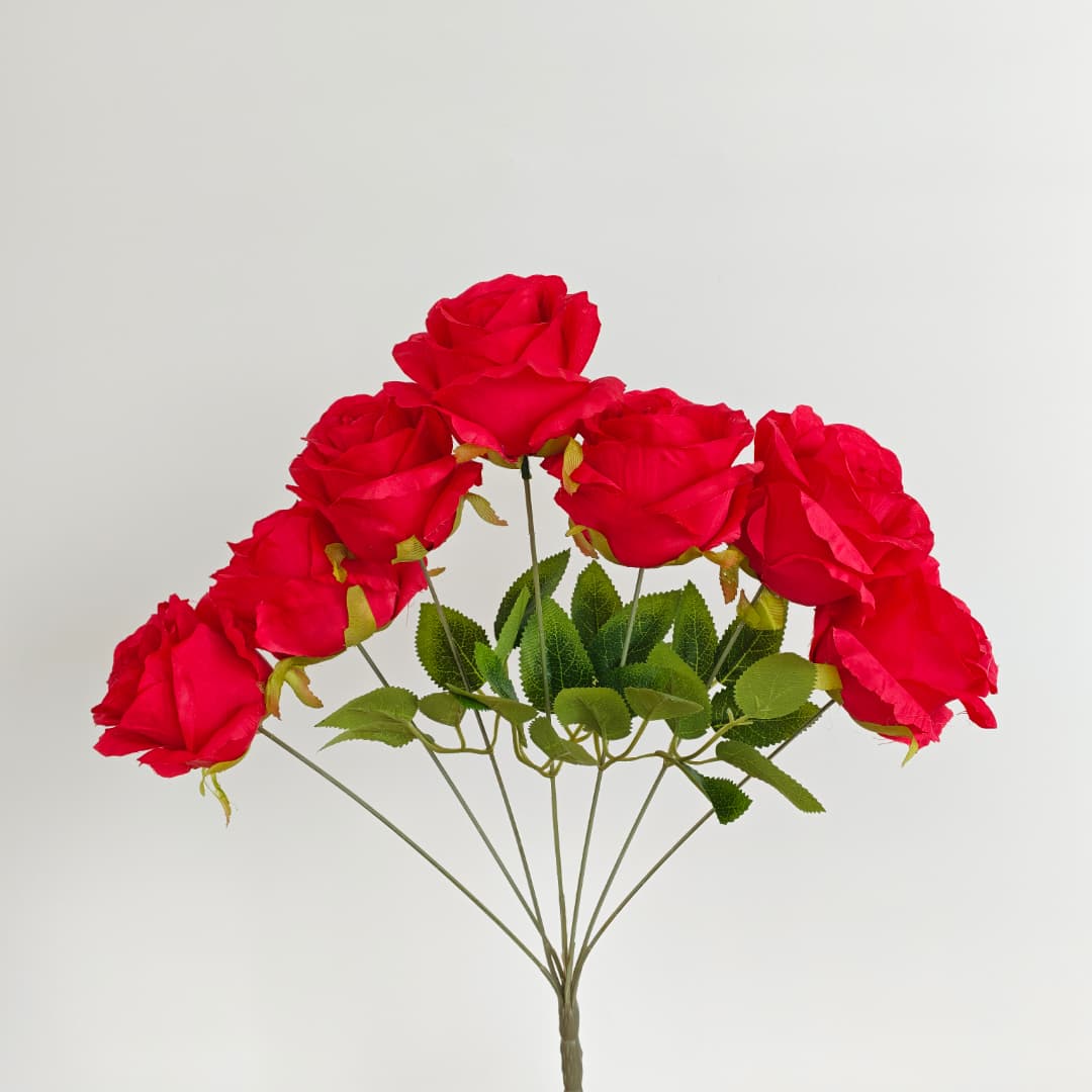 Rose Anna x 7 | Short Flowers