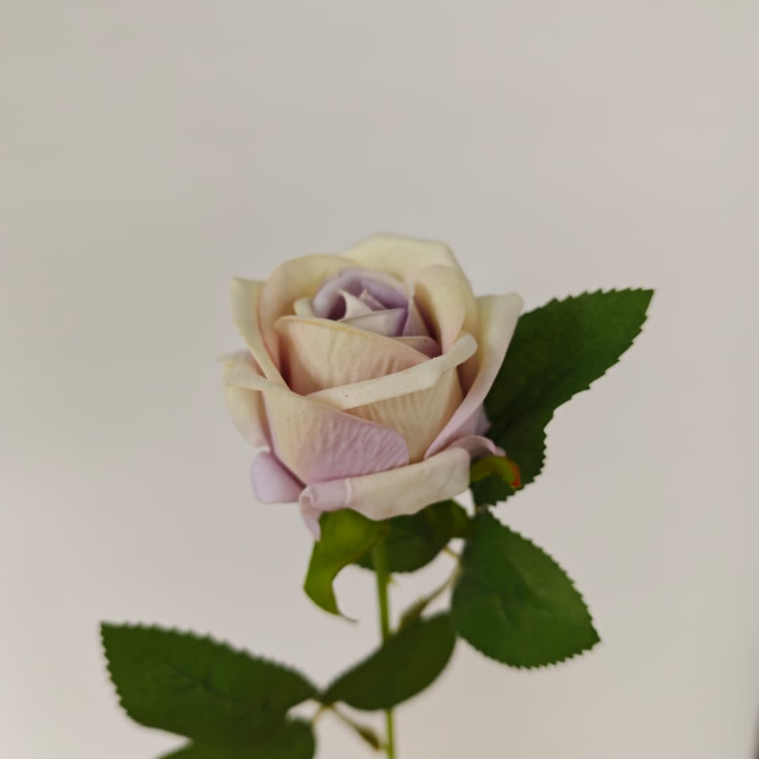 Velvet Rose (50cm) 绒布玫瑰 | Short Flowers