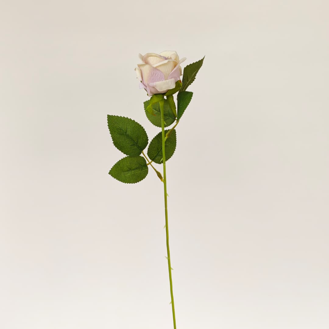 Velvet Rose (50cm) 绒布玫瑰 | Short Flowers