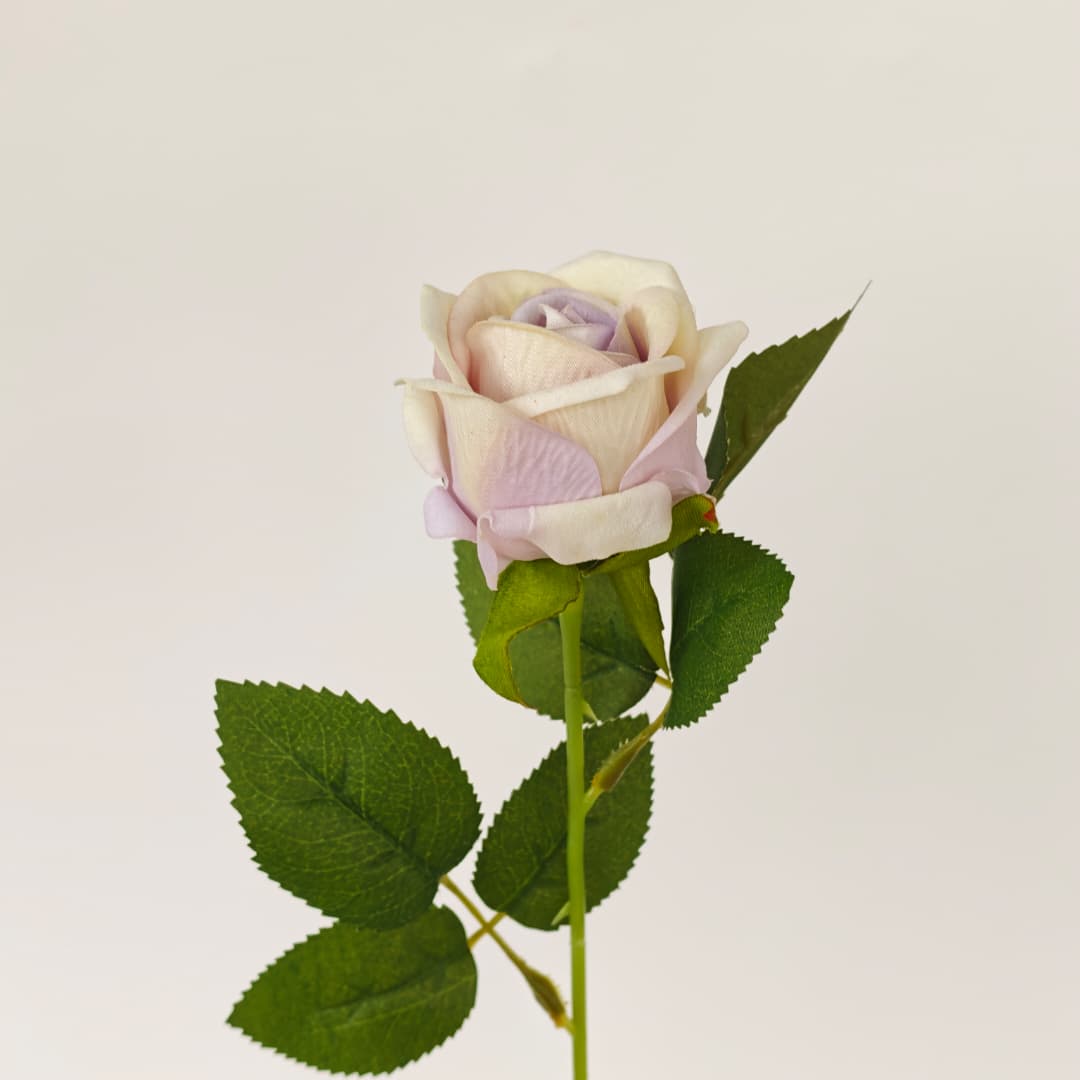 Velvet Rose (50cm) 绒布玫瑰 | Short Flowers